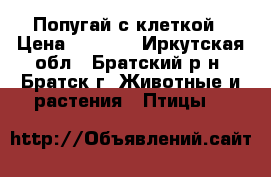 Попугай с клеткой › Цена ­ 1 600 - Иркутская обл., Братский р-н, Братск г. Животные и растения » Птицы   